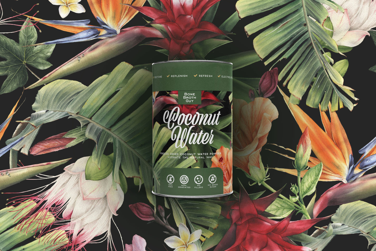 Coconut Water Powder 500g